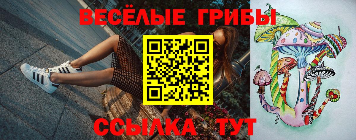 Галлюциногенные грибы Psilocybine cubensis  Нижний Новгород  Галлюциногенные грибы Magic Shrooms 