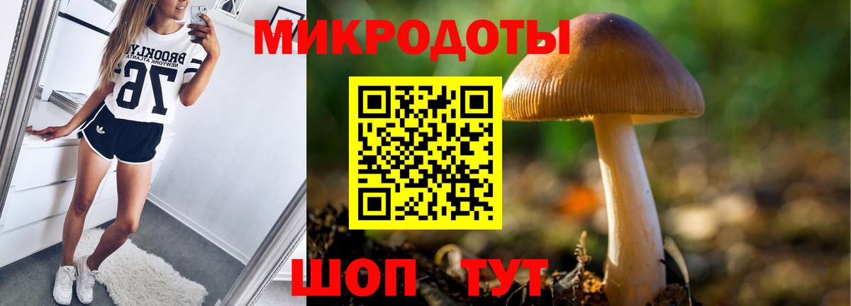 Нижний Новгород  Псилоцибиновые грибы Cubensis  Вход с VPN 